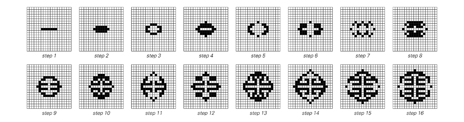cellular automaton circular patterns