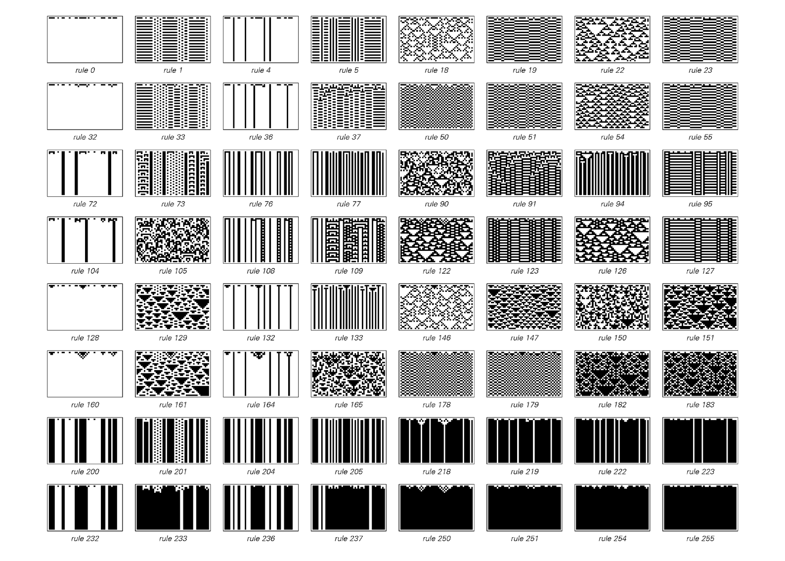 biological-pigmentation-patterns-a-new-kind-of-science-online-by