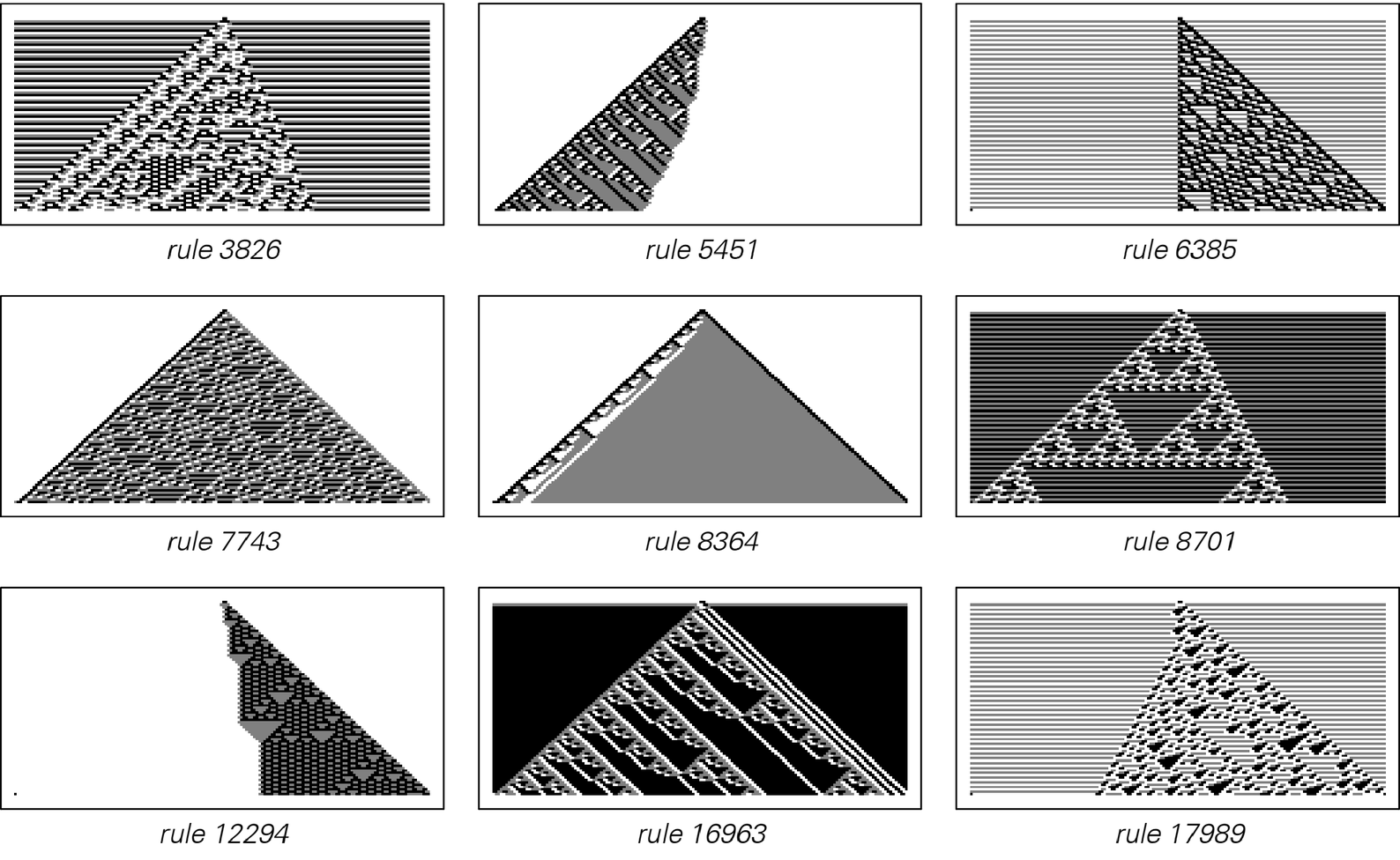 [Cellular automata with] two-cell neighborhoods image 2